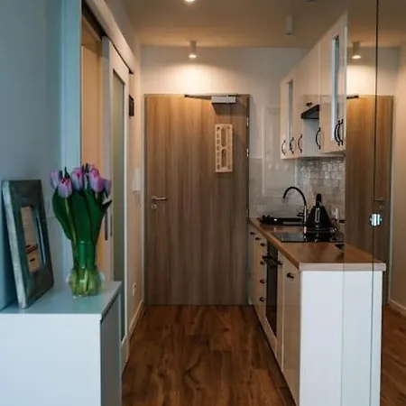 Cosy Studio In Apartment *