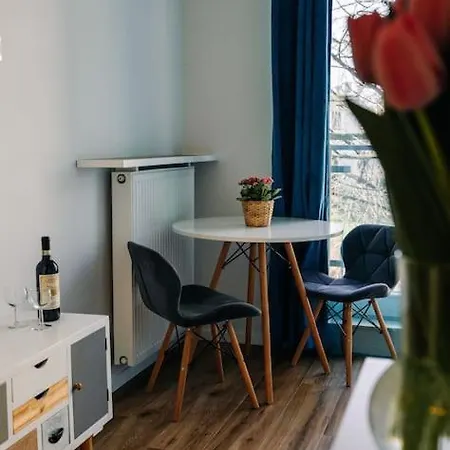 Apartment Cosy Studio In