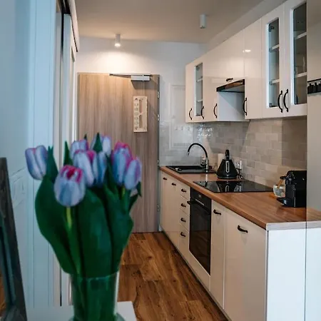 Cosy In Apartmán Krakov